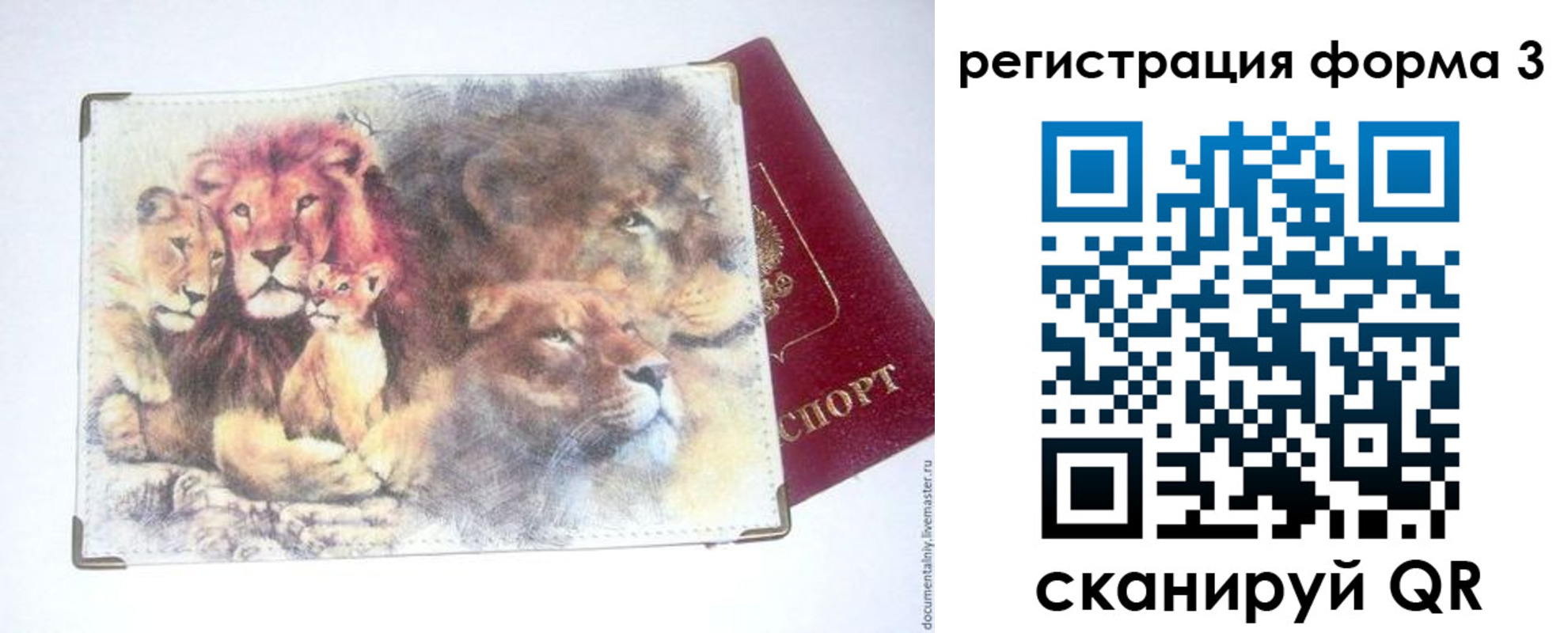 прописка в квартире в Камешково